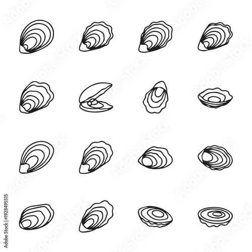 Oyster Shell Collection Various Shapes Simple Line Art Isolated on White Background