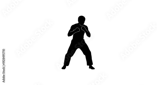 Silhouette of a person practicing martial arts in a fighting stance