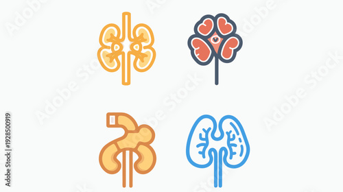 Four stylized illustrations of kidneys in various colors and designs on a white background