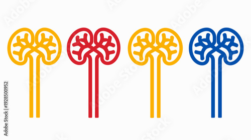Four stylized kidney illustrations in yellow, red, yellow and blue on white background