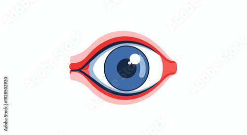 Anatomical Eye Illustration: Human Eye Diagram, Vision, and Eye Health, Vector Design