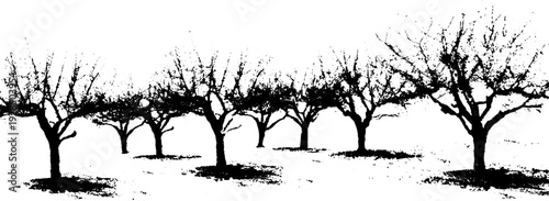 Abstract stencil style apple orchard rows with high contrast design for artistic decor