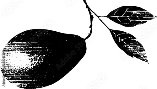 High contrast avocado seed silhouette in stencil style for artistic design