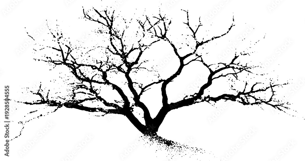 Fototapeta premium Abstract high contrast bare tree branches stencil design for nature art and decoration