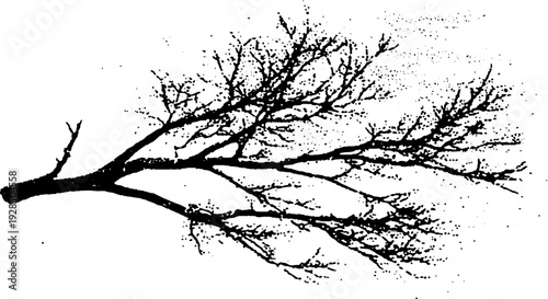 High contrast bare tree branches in stencil style for abstract art and design
