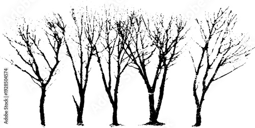 Abstract high contrast bare tree branches in stencil style for nature-inspired design
