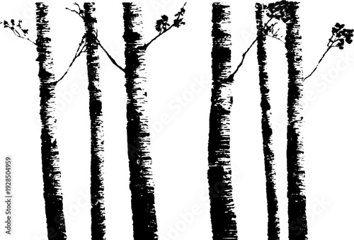 Abstract high contrast stencil of birch bark lenticels for artistic design projects