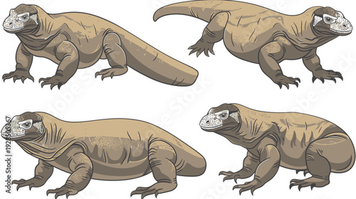 A digitally illustrated compilation of Komodo Dragons, showcasing variations in posture and stance