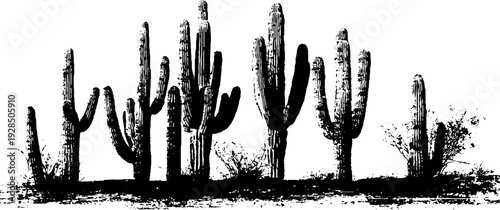 High contrast cactus silhouette with rib shadow stencil style for artistic wall design