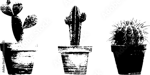 High contrast grunge cactus trio in pot stencil style for home decor and design