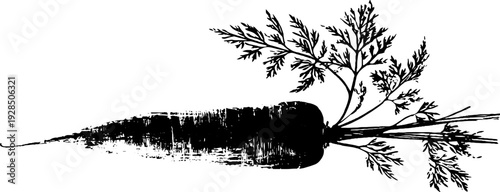 High contrast carrot with leaves stencil - abstract design for nature and food themes
