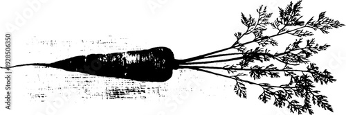 High contrast carrot with leaves in stencil style for design projects