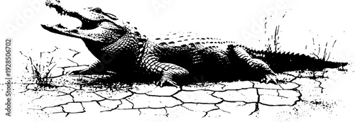 High contrast alligator on cracked earth in stencil style for wildlife art
