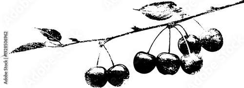 Abstract stencil art of cherry pair with stems in high contrast design