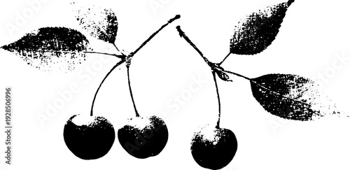 High contrast stencil style cherry pair with stems and leaves for retro design