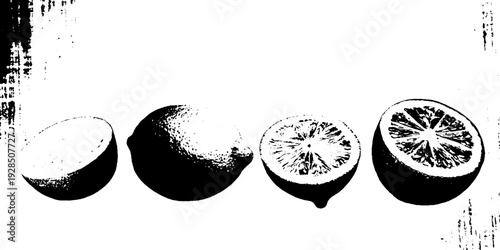 Citrus garnish abstraction in stencil style for cocktail design