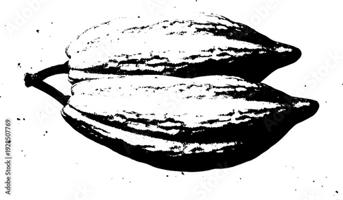 Cocoa pod ribs in high contrast stencil style for retro design