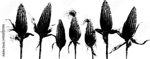 Abstract corn kernel grid with high contrast stencil design for art and decoration