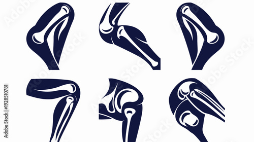 A medical illustration depicting various anatomical views of human joints in a navy blue silhouette