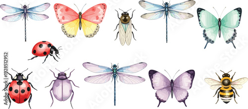 Colorful hand drawn insect vector set featuring beautiful butterflies dragonflies ladybugs and honey bee for nature education garden decor and spring wildlife design.