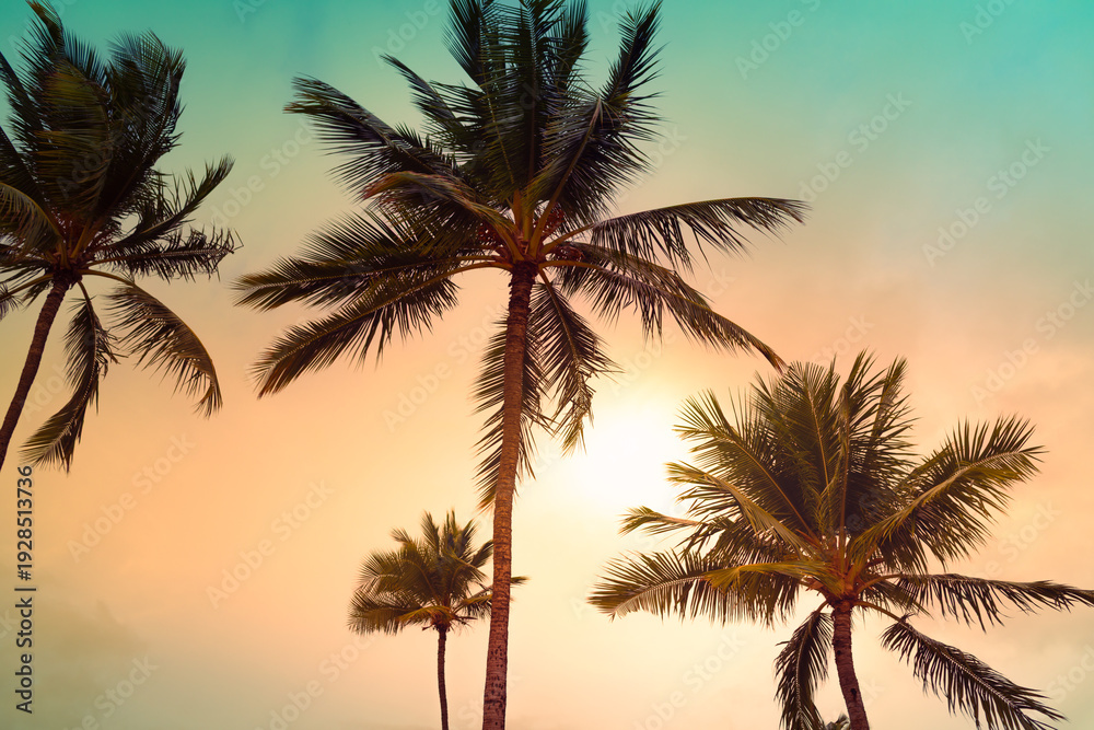 Obraz premium Tropical Palm Trees silhouette against a Colorful Sunset, Serene Nature Setting background 