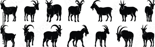 Goat silhouettes illustration, diverse horn shapes, standing and walking poses, vector art design, farm animal symbol, livestock, agriculture, breeding, wildlife inspiration