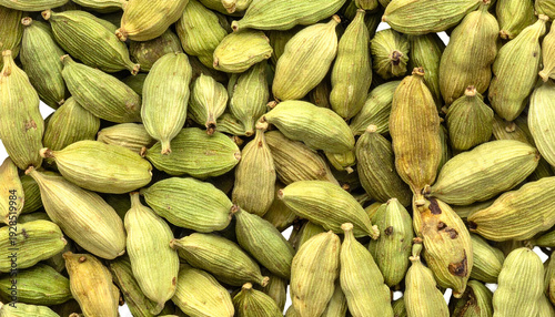 Close-up of numerous oval-shaped, pale-green pods filling the frame, creating a textured surface. The seed pods have fine ridges