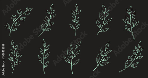 Collection of nine green leafy branches on black background
