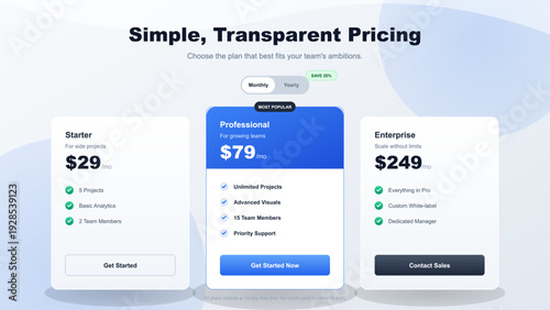 Clean website pricing table with starter professional and enterprise subscription plans for business software landing page