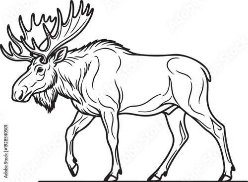 Majestic Moose Line Drawing Outline Illustration - Majestic Wildlife
