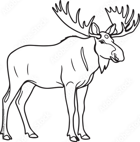 Majestic Moose Line Drawing Outline Illustration - Majestic Wildlife