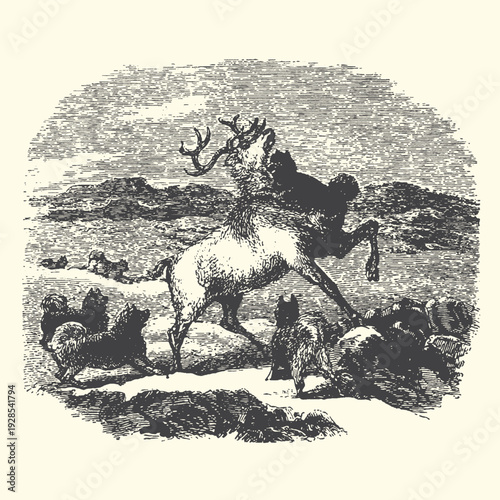 Fight scene with a stag and wolf pack in snowy landscape illustration, vintage engraving style, symbol of survival