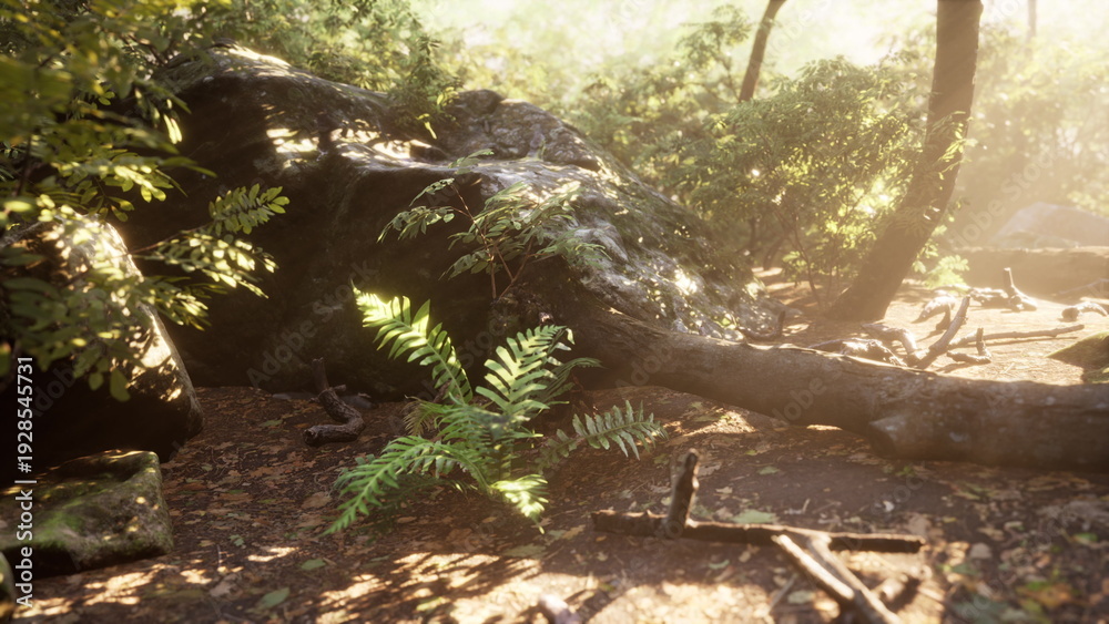 Fototapeta premium Bright sunlight streams through the leaves, casting warm light onto a lush forest floor. Ferns and fallen branches create a serene atmosphere, perfect for nature lovers.