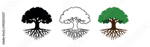 Oak tree with visible roots vector icon set three styles: black solid silhouette thin black outline and flat colored with solid fills. Clean professional design sharp edges