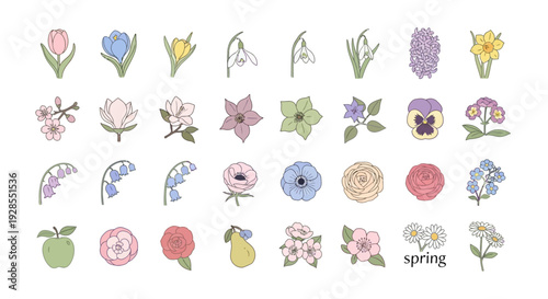 Collection of colorful spring flowers and floral elements in pastel tones.