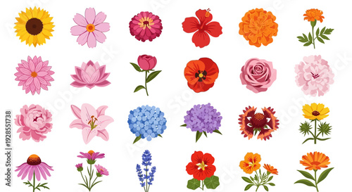 Foto Colorful collection of various flower illustrations with different shapes and colors