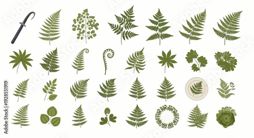 Collection of various green fern and leaf silhouettes with different shapes and sizes.