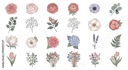 Collection of various delicate hand-drawn floral and botanical illustrations with roses and leaves.