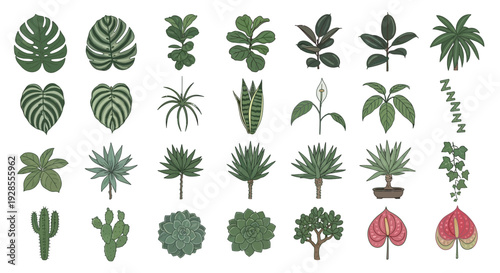 Collection of various green plant and leaf silhouettes in different shapes and sizes.