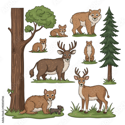 Various wild forest animals including deer, bobcats, and weasels with trees in a charming cartoon illustration style.
