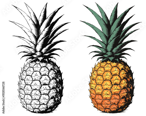 Playful side-by-side showcase of cartoon pineapples in contrast, color and grayscale on a clean white studio backdrop, frontal view