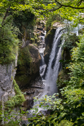 Les gorges de la Langouette sont des gorges du massif du Jura, où coule la rivière Saine, entre la commune des Planches-en-Montagne, et le lieu-dit de Montliboz, dans le département du Jura, en France
