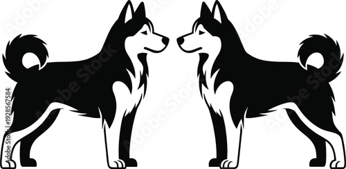 Stylized symmetrical illustration of Siberian Husky dogs facing each other, showcasing black and white design, erect ears, curled tails, and distinct fur patterns