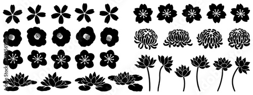 Japanese style botanical illustrations isolated on transparent background, hand-drawn smi ink drawings