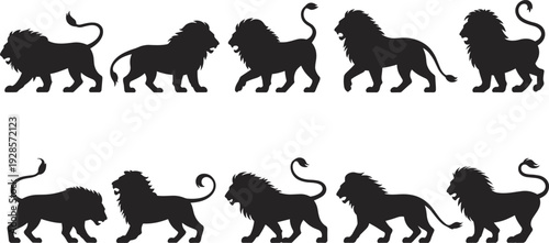 Black lion silhouettes set with majestic male predators walking and standing isolated on white background for safari design