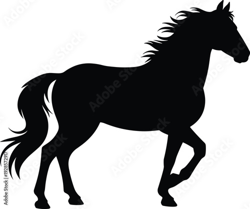 Black horse silhouette, elegant standing equine animal illustration design