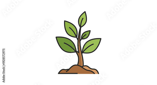 Small plant growing in the ground.