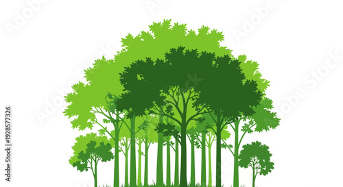 Green trees in a forest ecosystem.