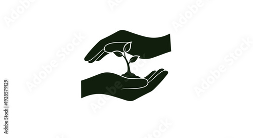 Hands holding a small green plant.