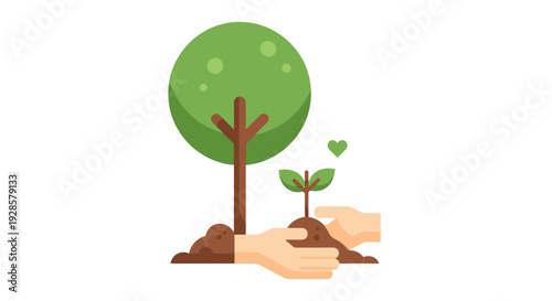 Tree and small plant in hand.